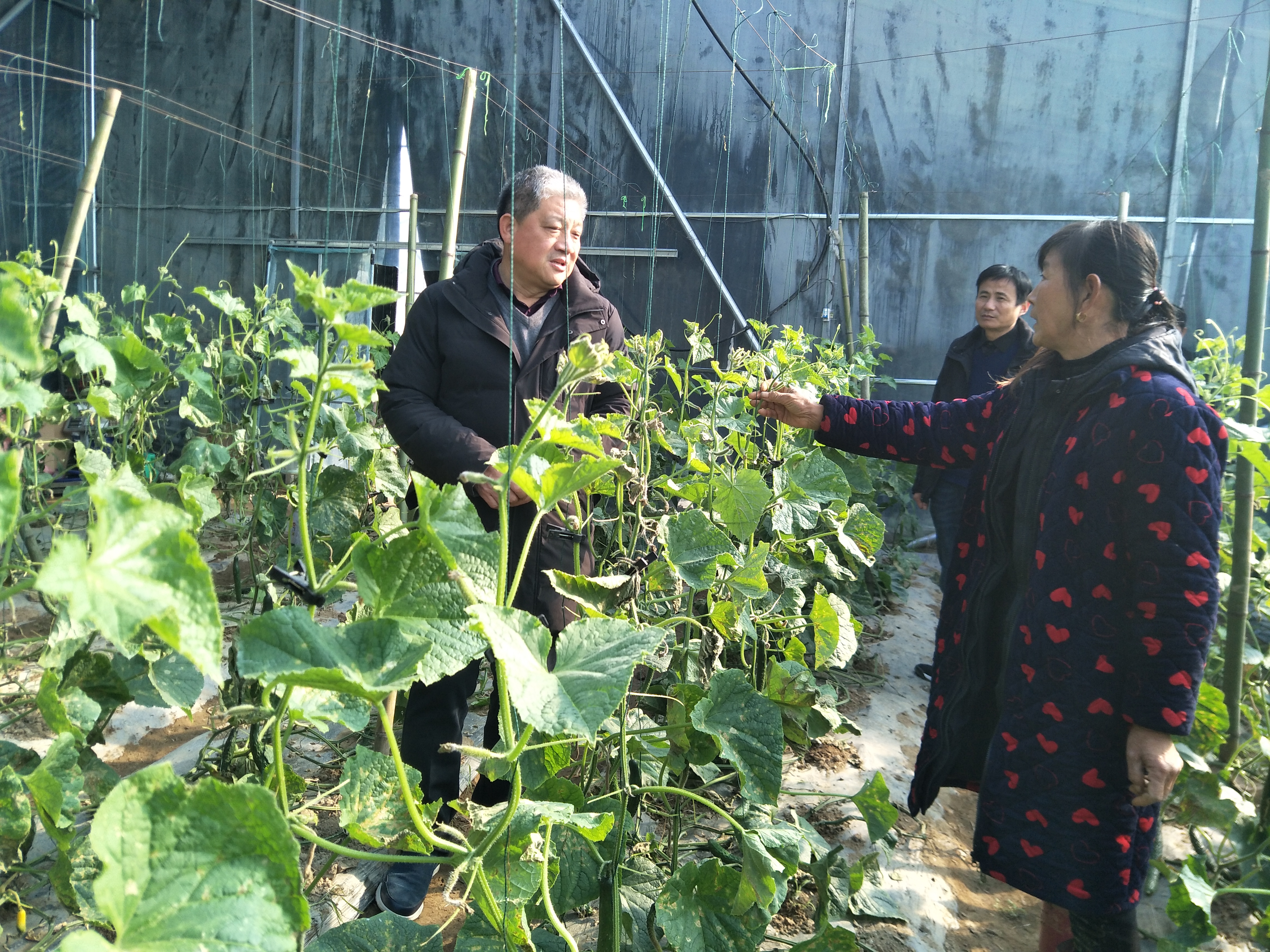 微信图片_20201204140849.jpg