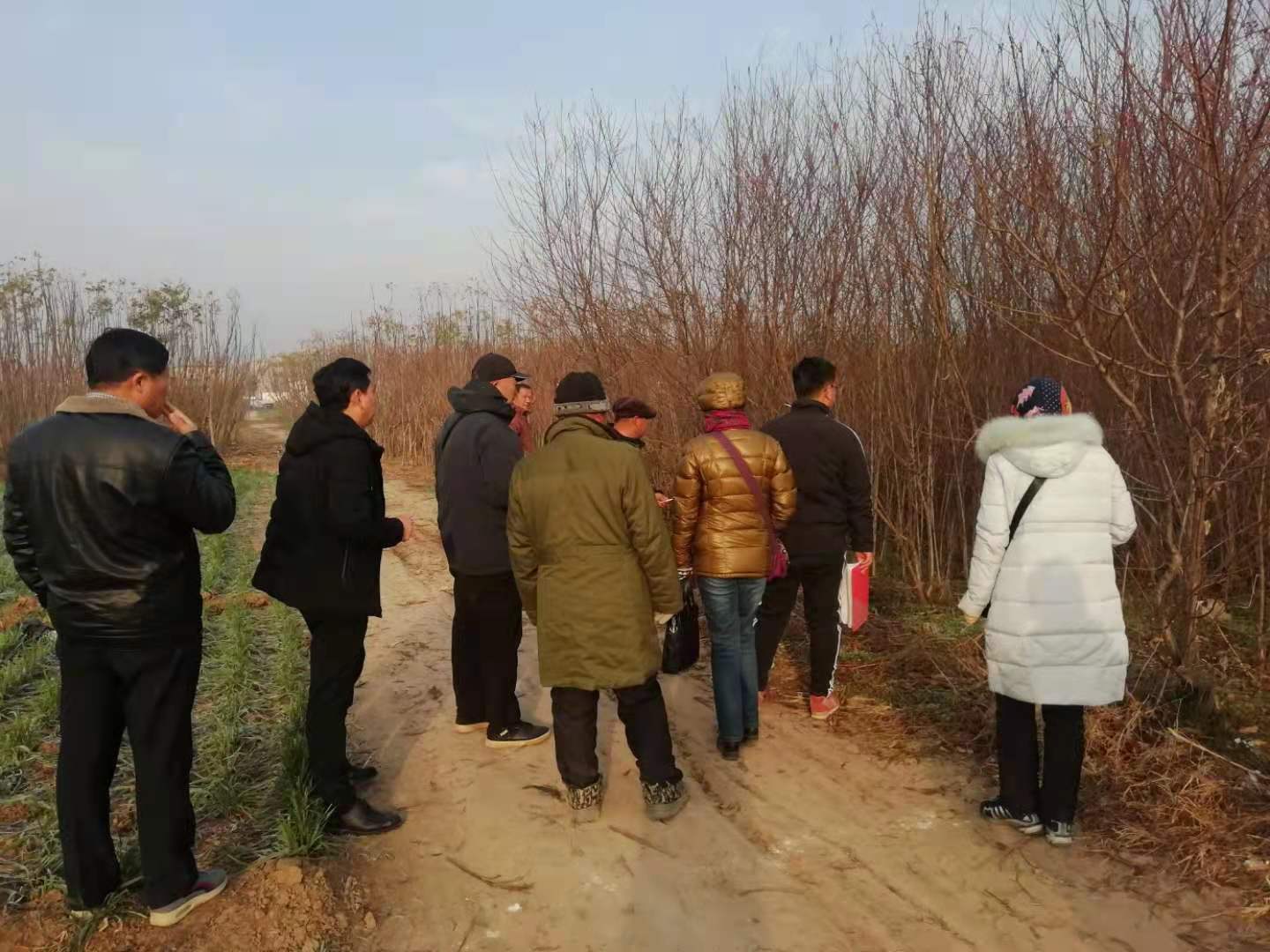 微信图片_20201222155858.jpg
