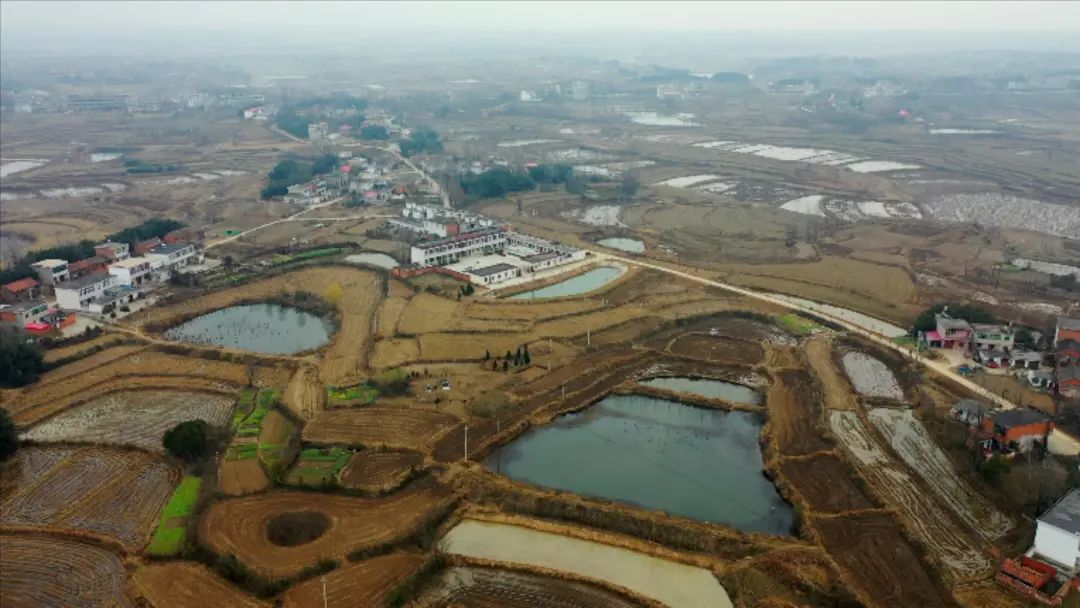微信图片_20210121104118.jpg