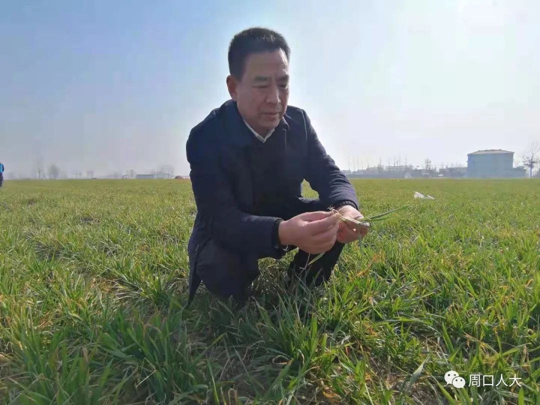 微信图片_20210224153602.jpg