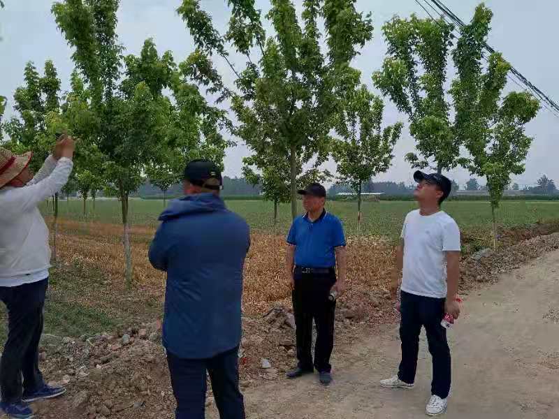 于海涛 乡村振兴.jpg