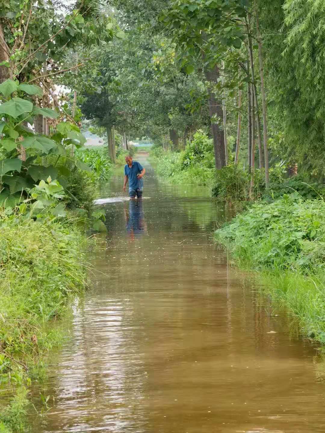 陈来营防汛.jpg