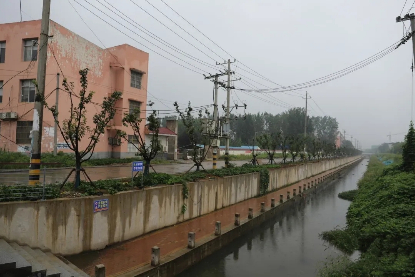 8247544520244475 图片4.jpg