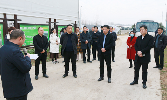 视察重点建议1.jpg