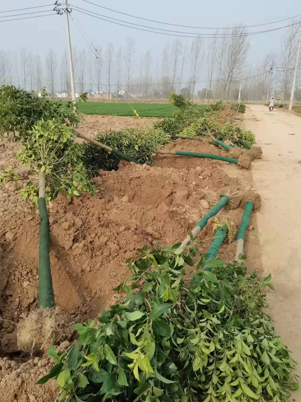 微信图片_20220324191622.jpg