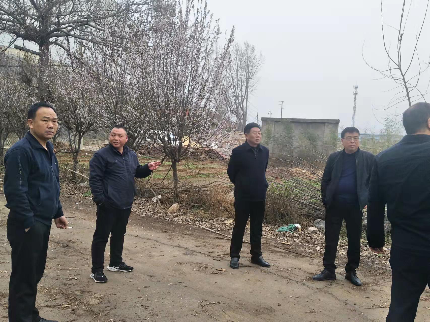 马云实地考察新拓洋二期项目建设.jpg