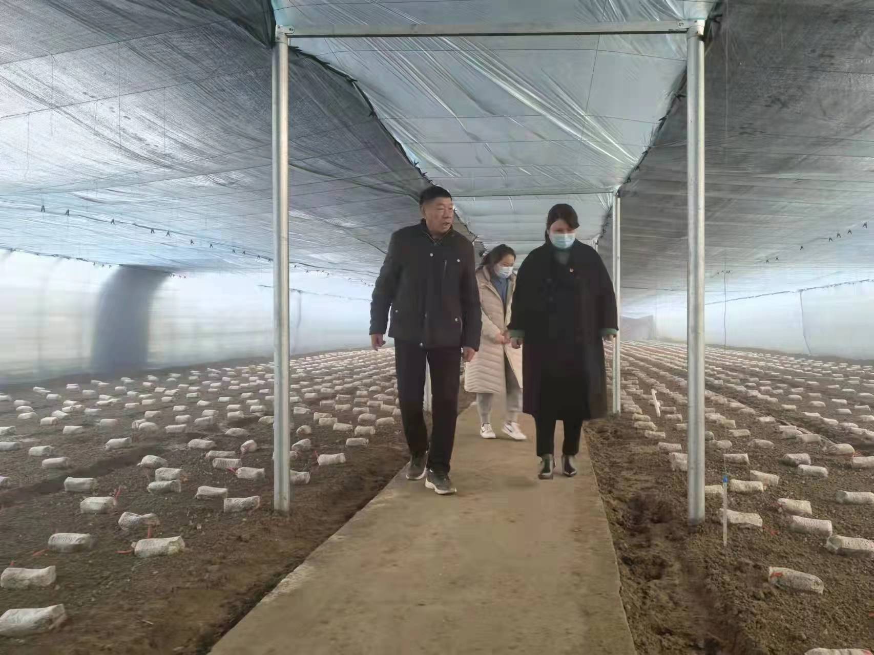微信图片_20220513100701.jpg