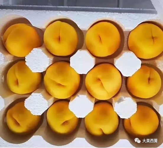 微信图片_20220606173605.png