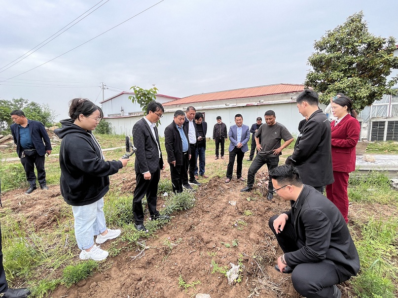 考察团在驻马店市晨钟生物科技有限公司丝瓜新品种种植基地实地查看.jpg