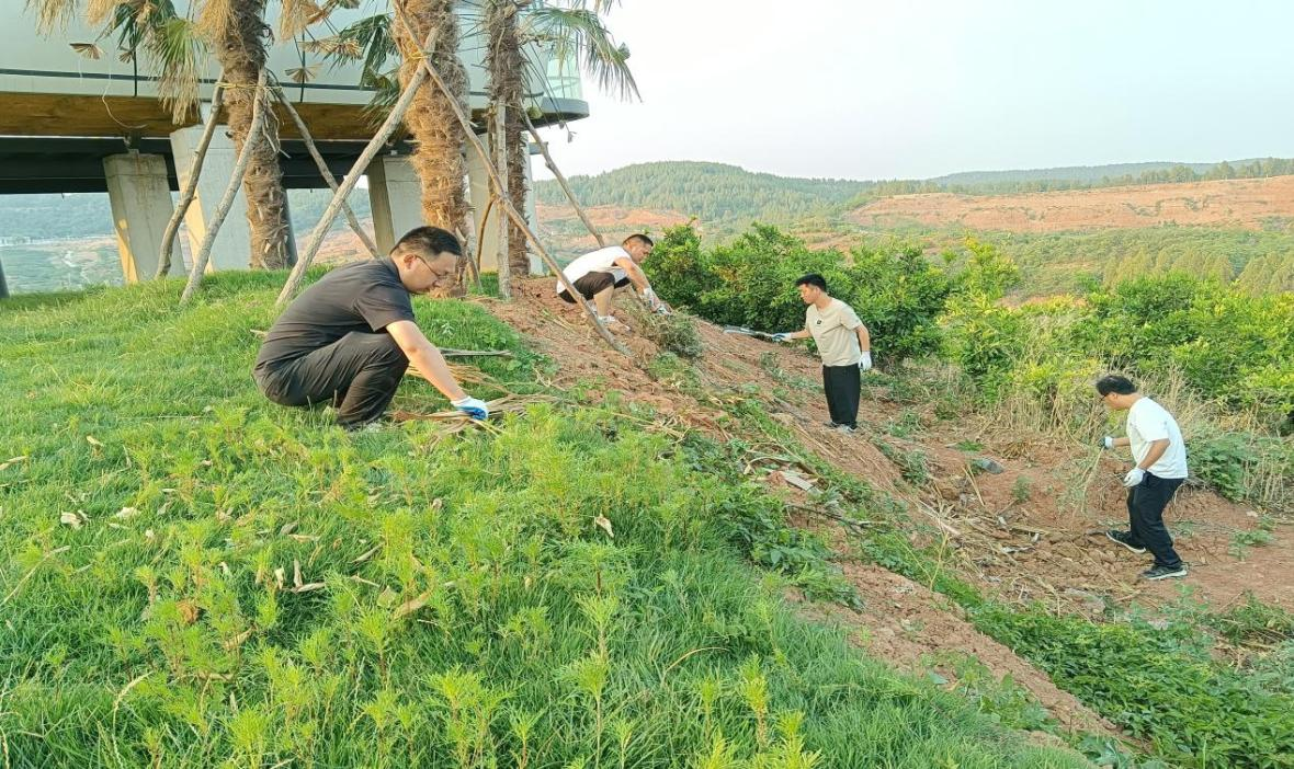 人大代表助力环境整治(1).png